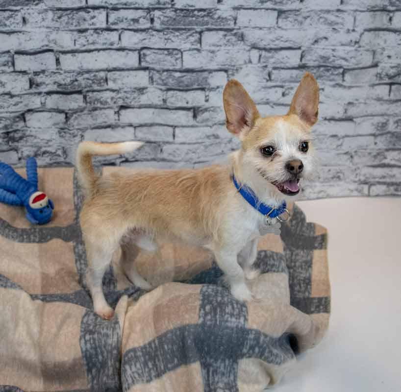 Samuel — thumbnail 4