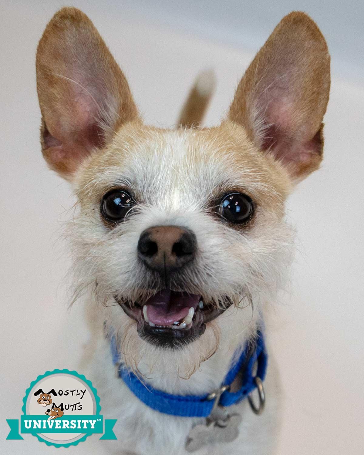 Samuel — thumbnail 6