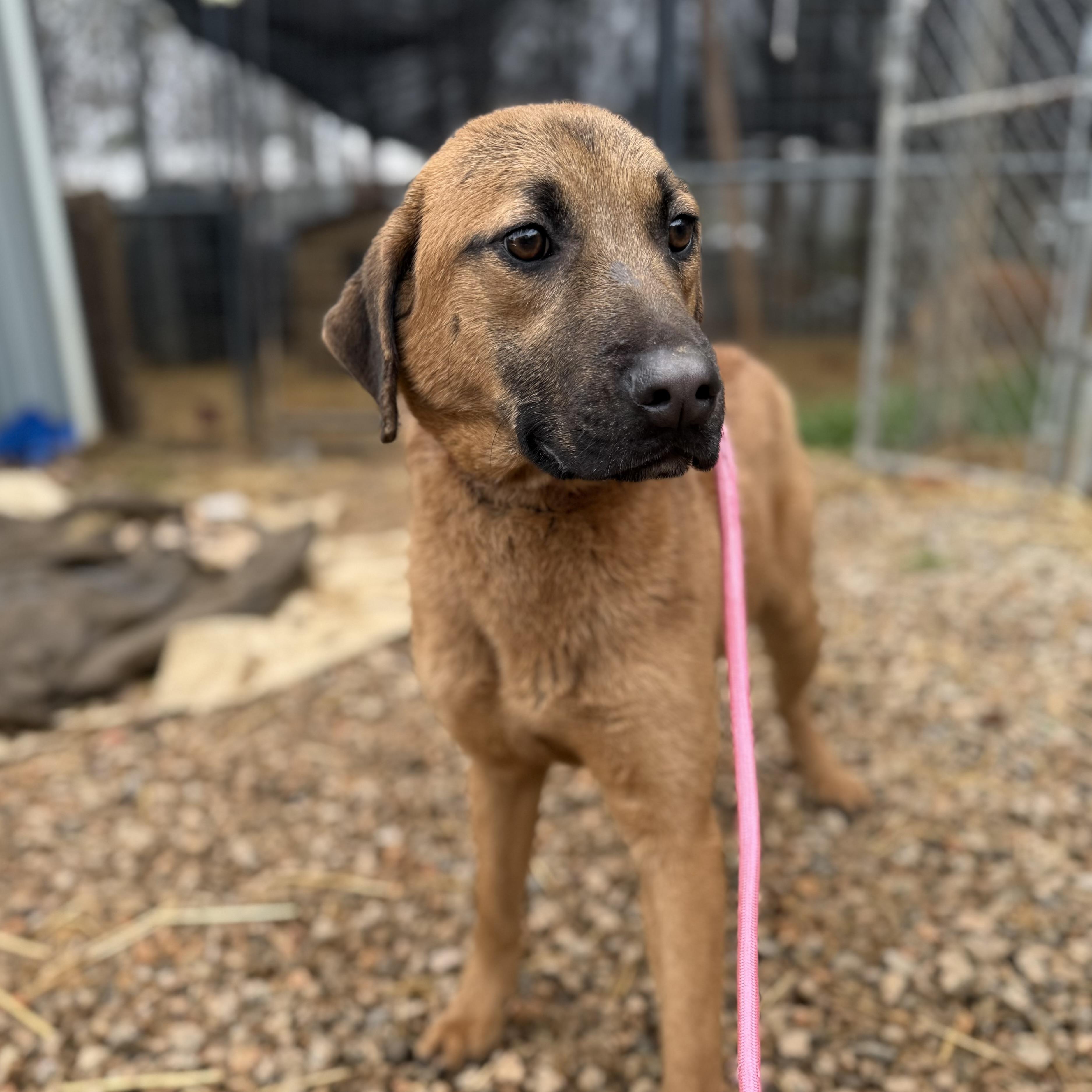 Ello — thumbnail 4