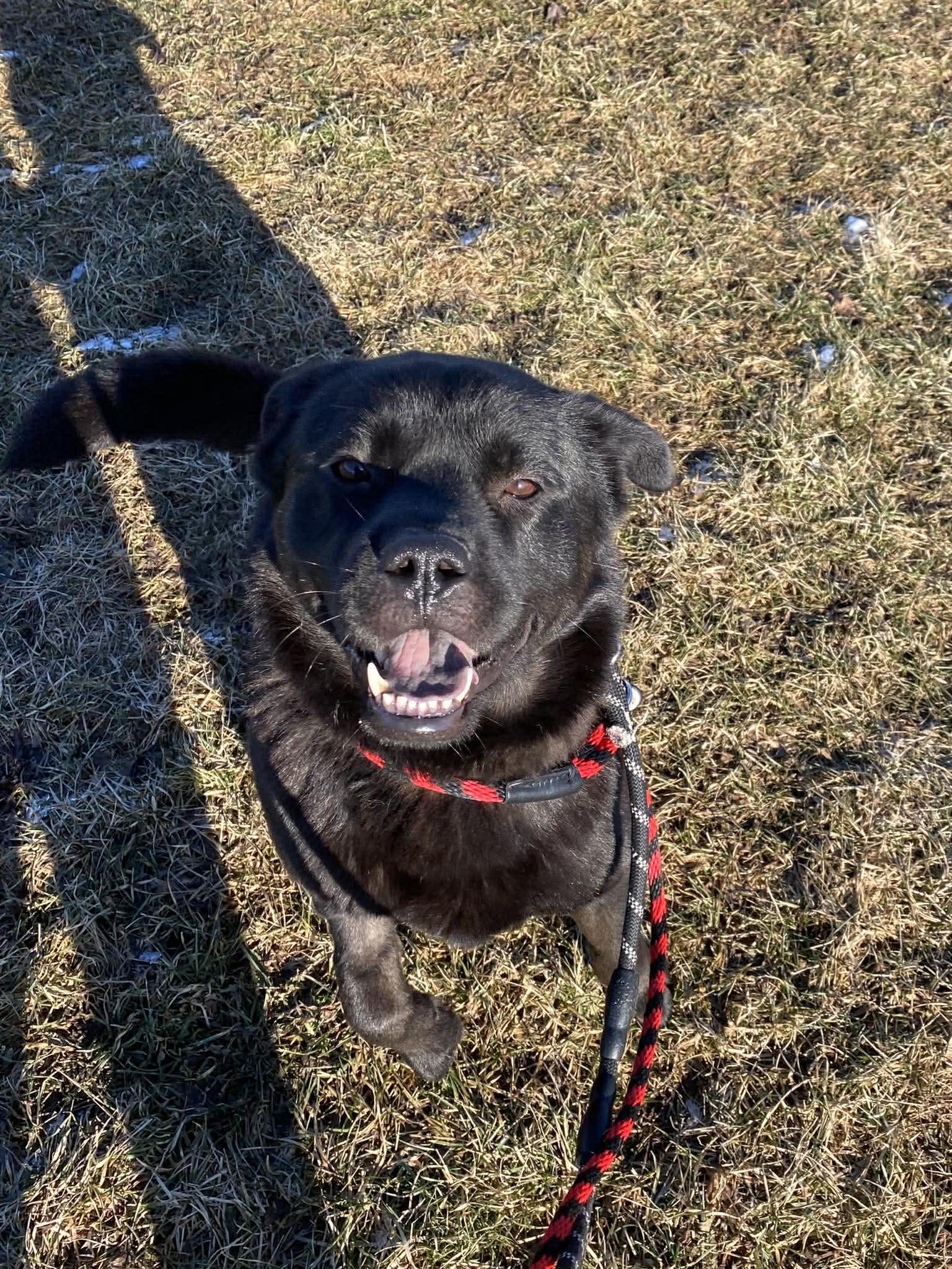 Tweety (20260115-01)