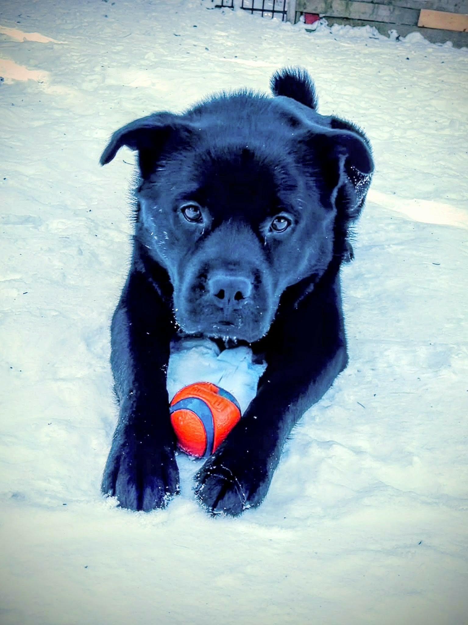 Tweety (20260115-01) — thumbnail 4