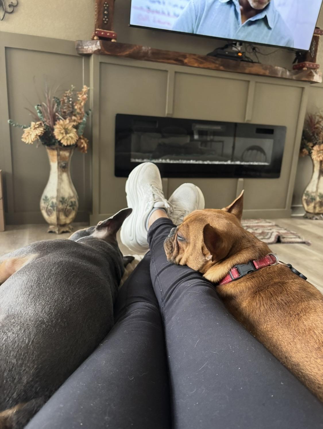 Enlarge Hank, a Adopted French Bulldog in Rowlett, TX image 5/5