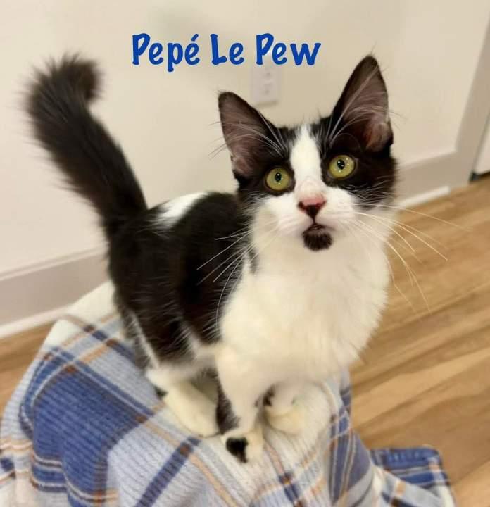 Pepe Le Paw