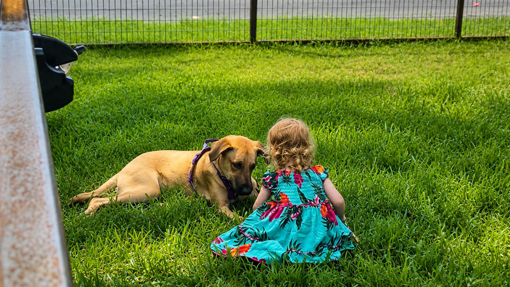 Tater Tot, a Adoptable mixed breed in Austin, TX image 5/6