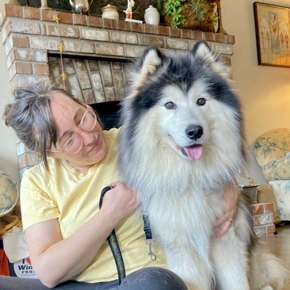 Bennett, an adopted mixed breed in Brush Prairie, WA image 5/6