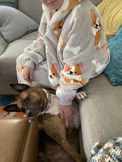 Enlarge Zarra, a Adoptable mixed breed in Philadelphia, PA image 4/5