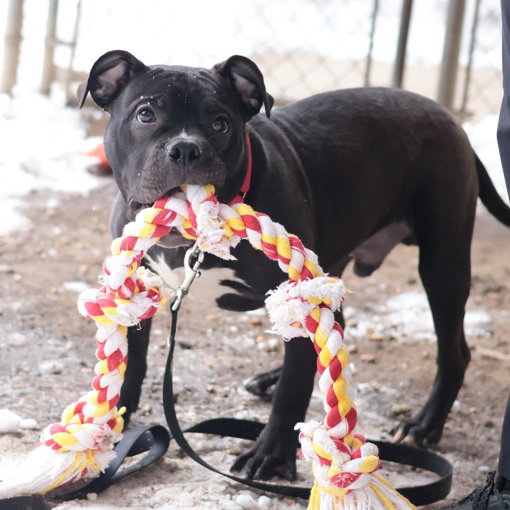 Oliver — thumbnail 3