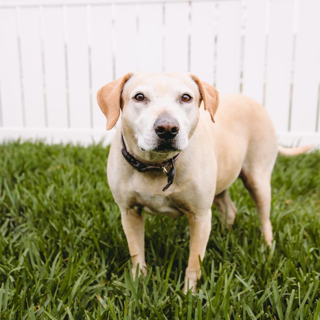 Elsey D10489 - Arriving 3/7