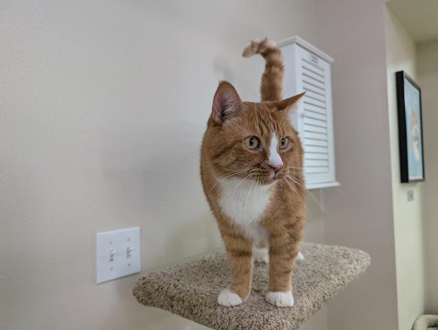 Nimbus — thumbnail 3