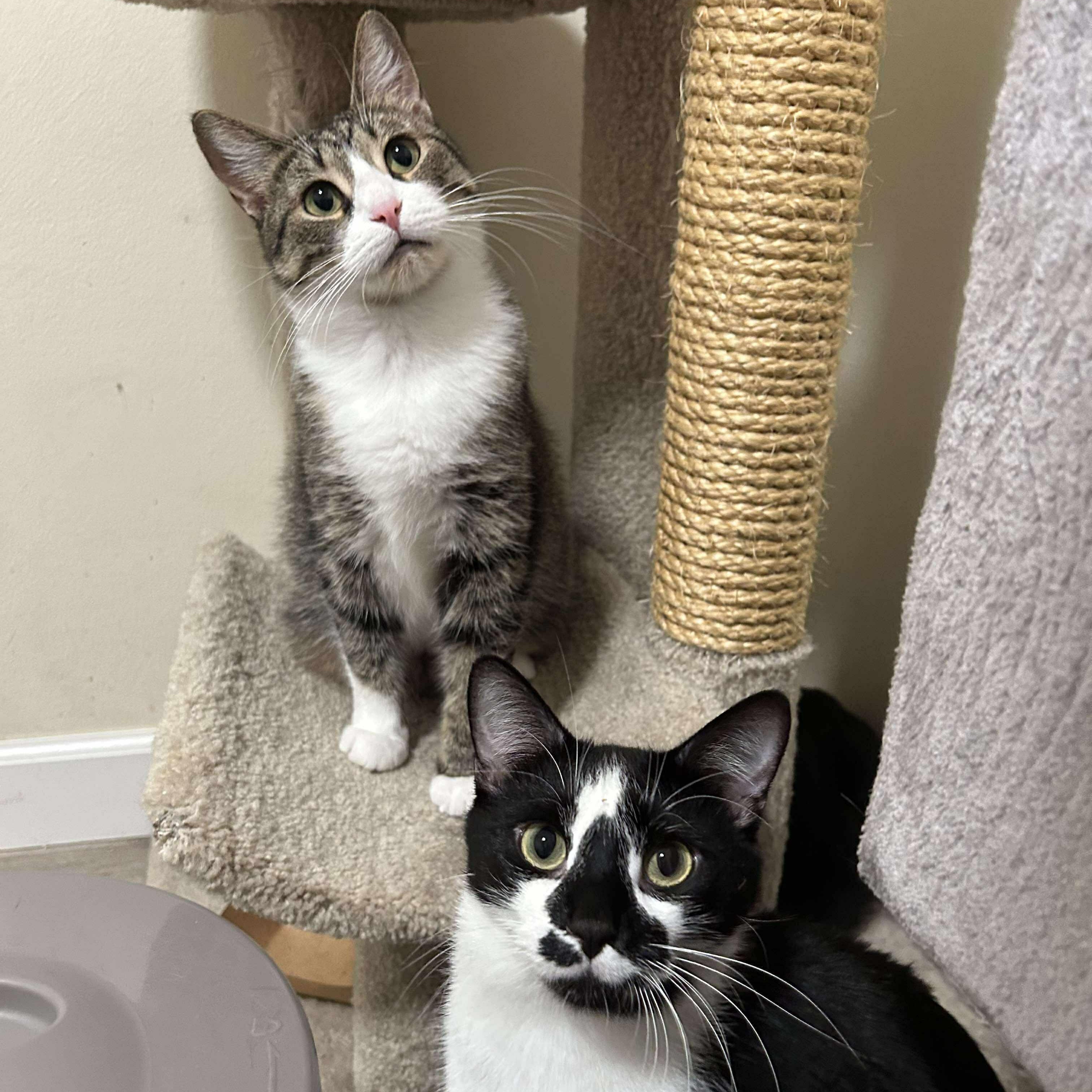 Bubbles & Marlow