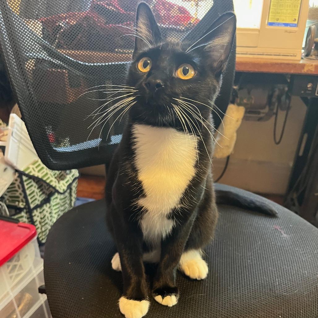 Sparkler — thumbnail 4