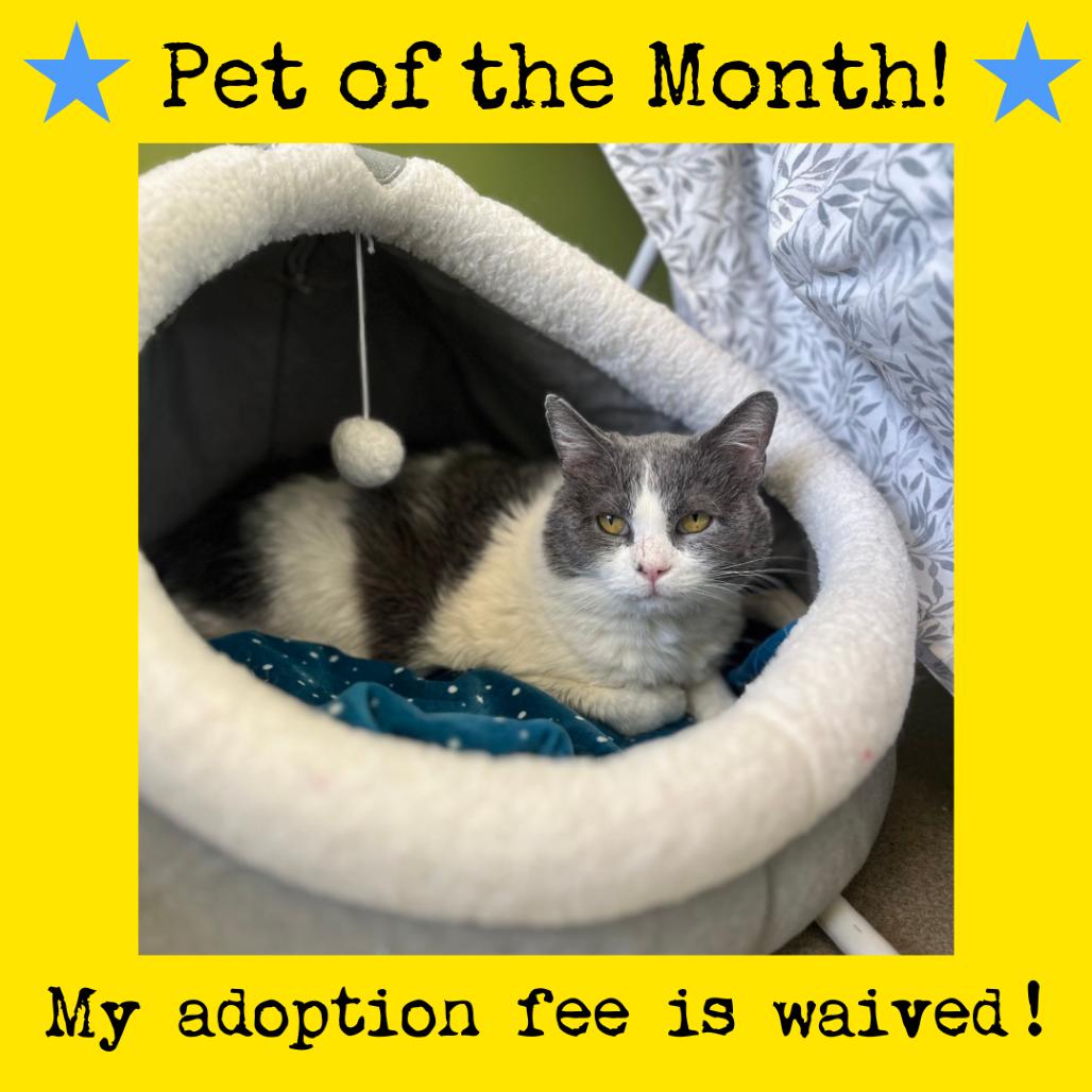 Murphy — thumbnail 5