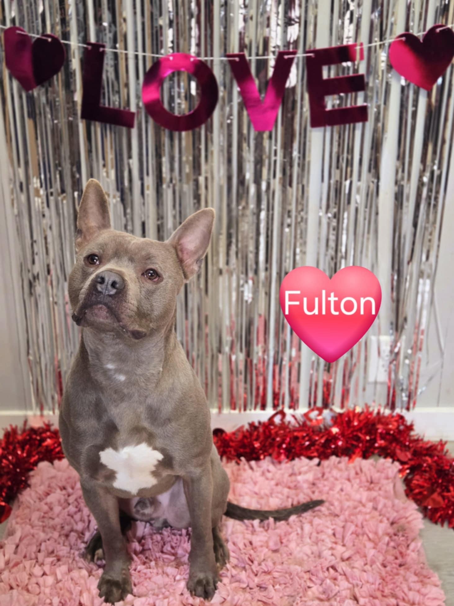 Fulton photo 2