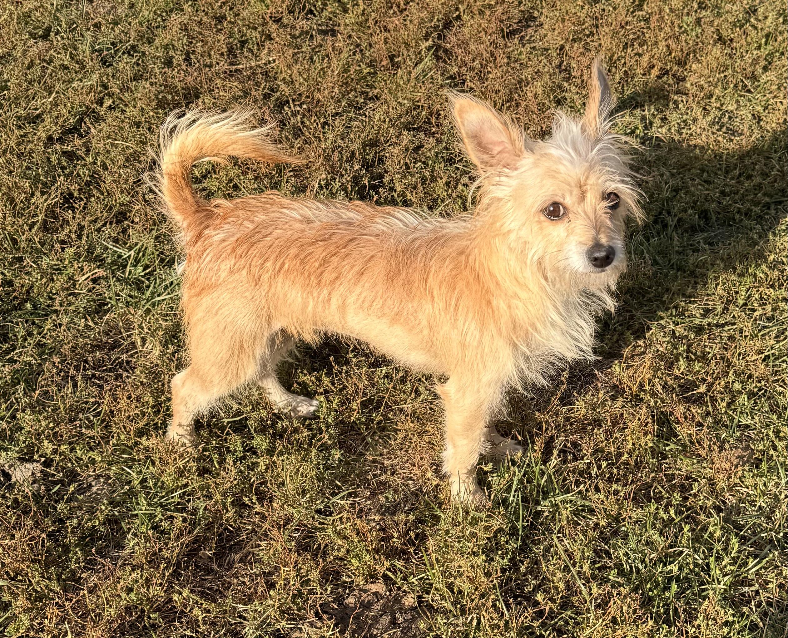 Winnie