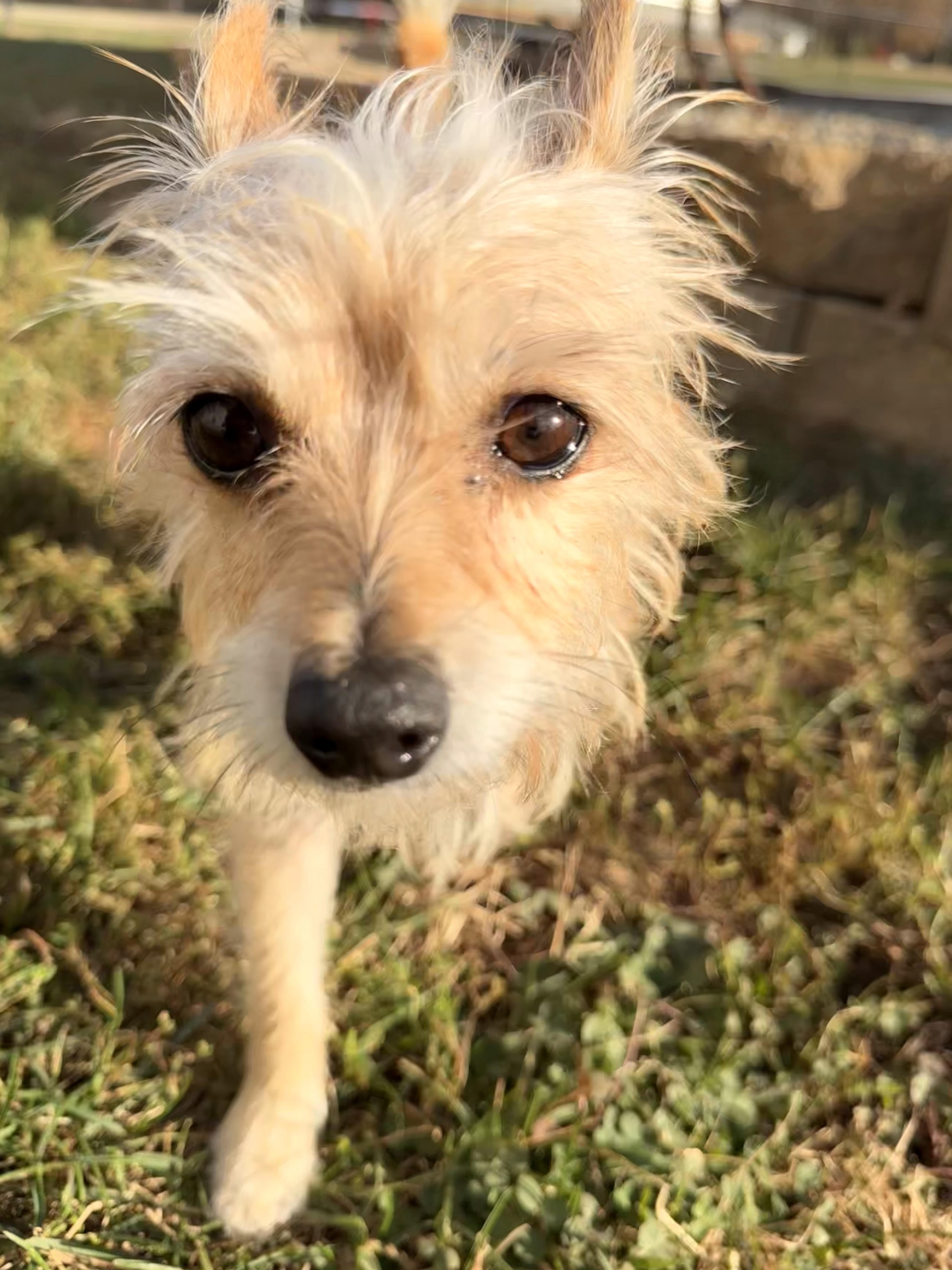 Winnie