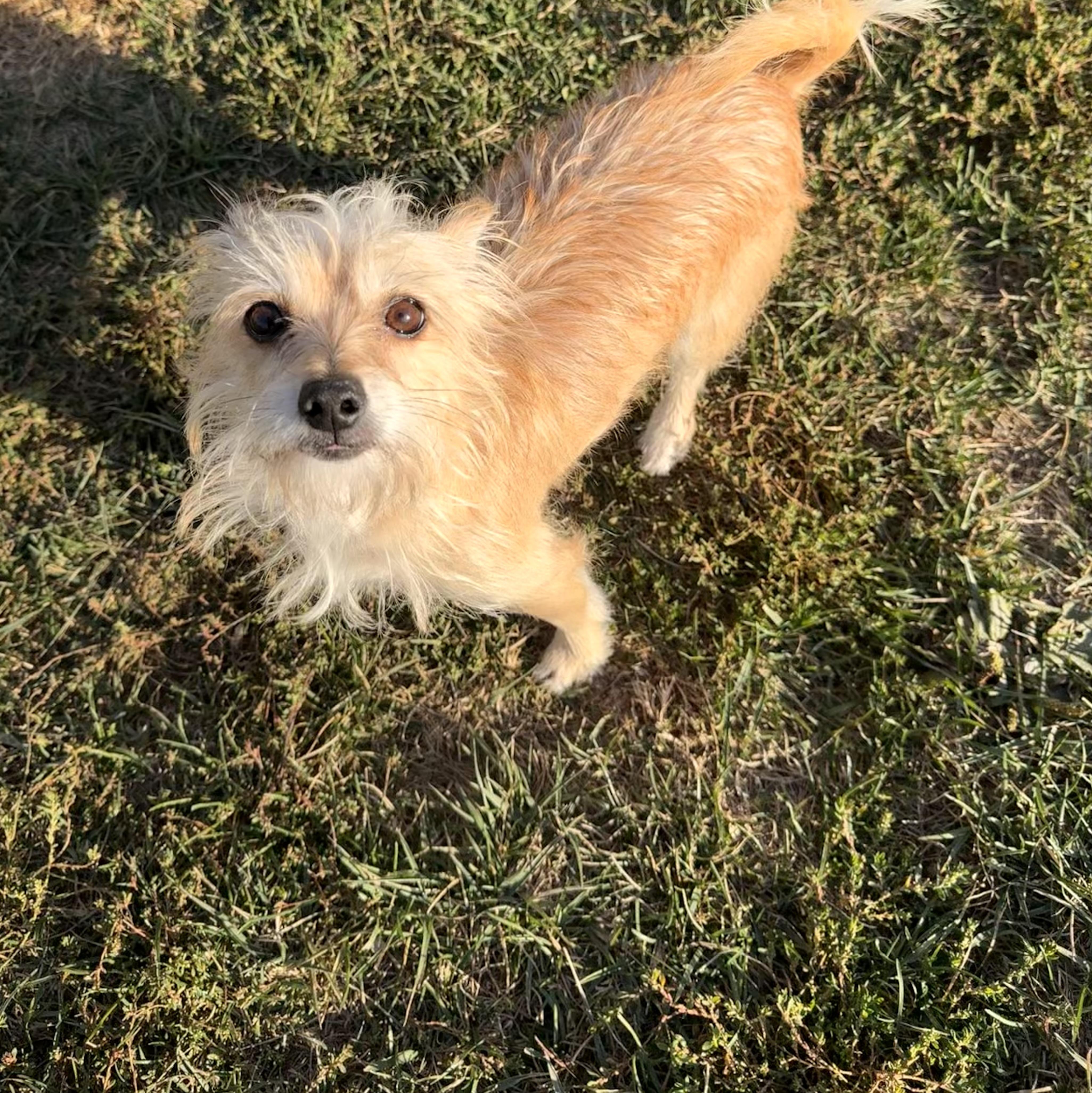 Winnie