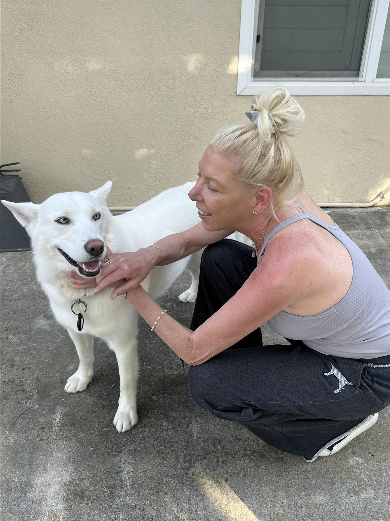 Enlarge Blanca, a ADOPTABLE Siberian Husky in Menifee, CA image 6/6
