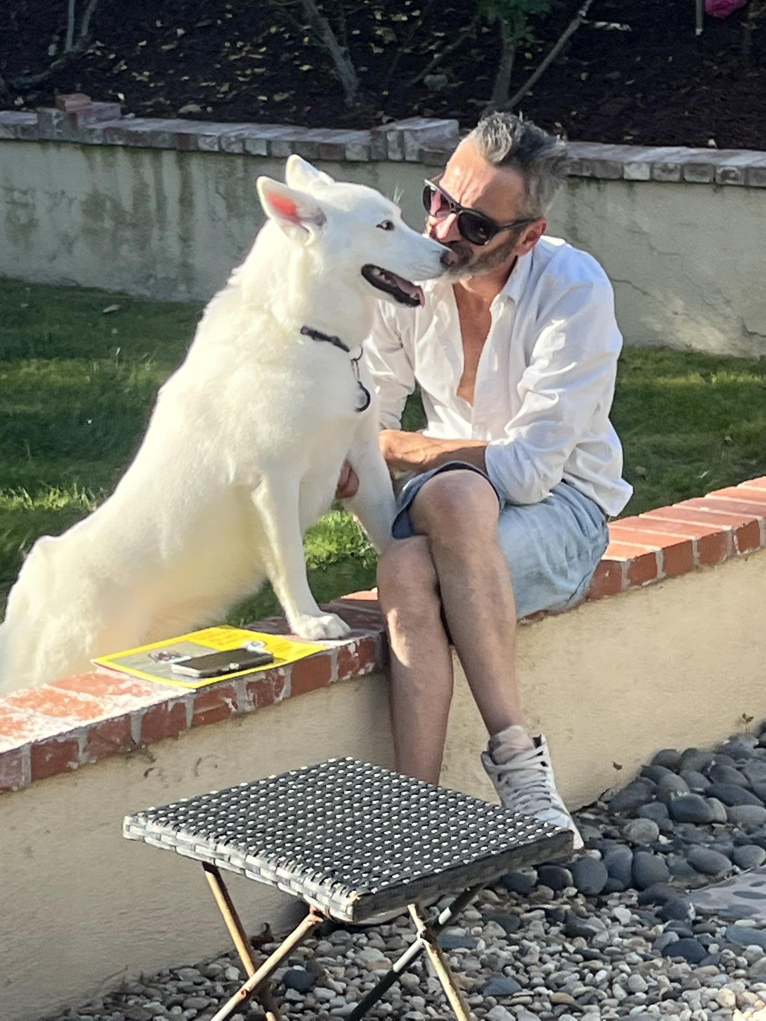 Enlarge Blanca, a ADOPTABLE Siberian Husky in Menifee, CA image 1/6