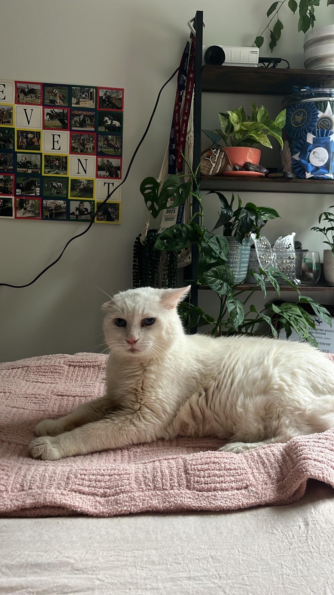 Charlie