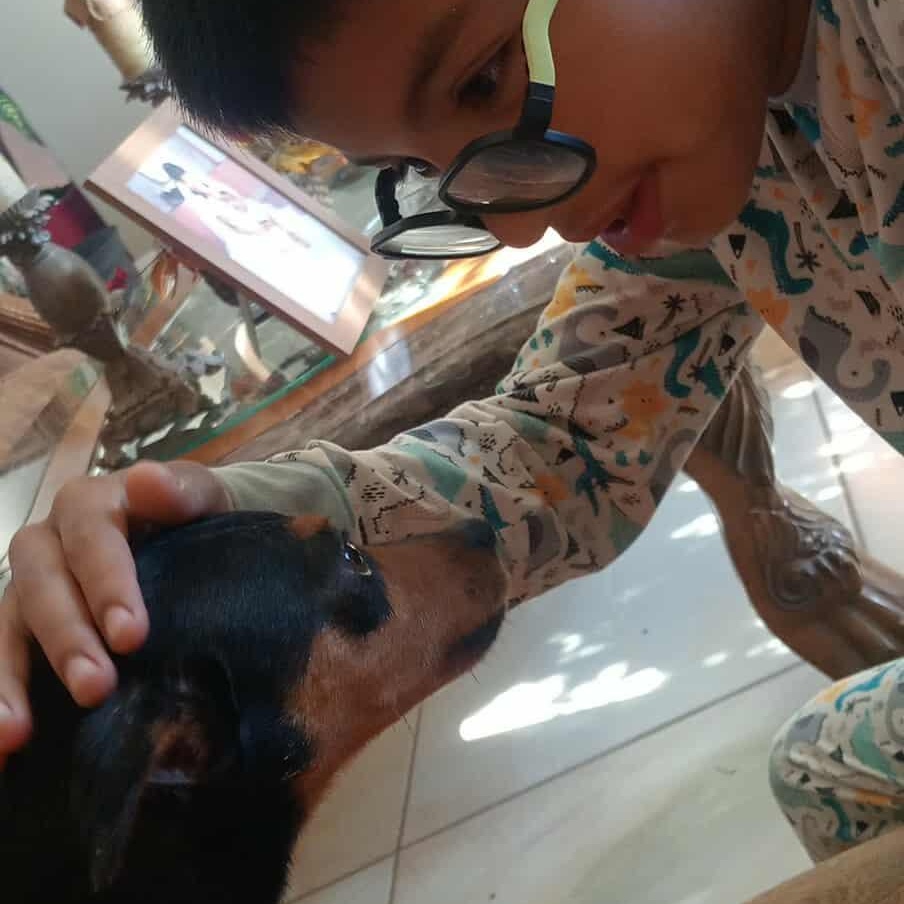 VIVIAN 3 yrs 8 lbs, a Adoptable Miniature Pinscher in san diego, CA image 5/6