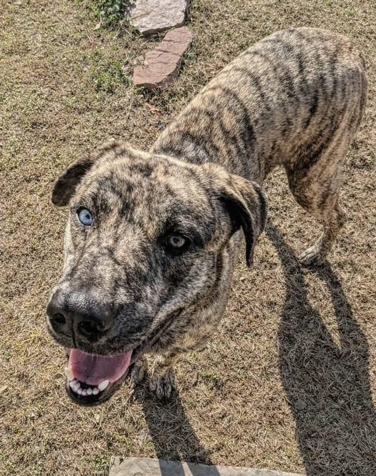 Roseanne thumbnail 3