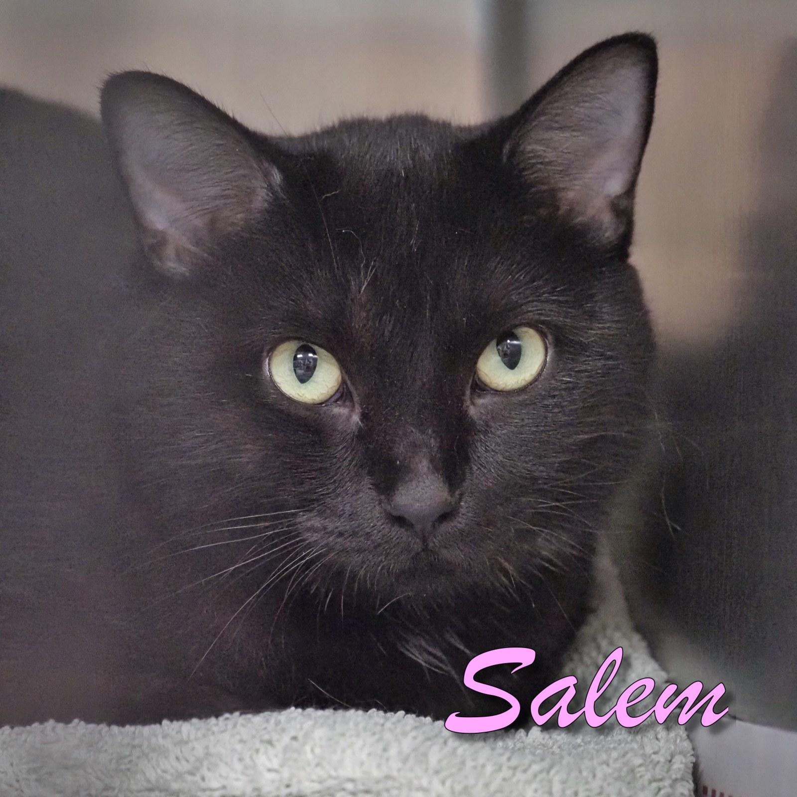 Salem