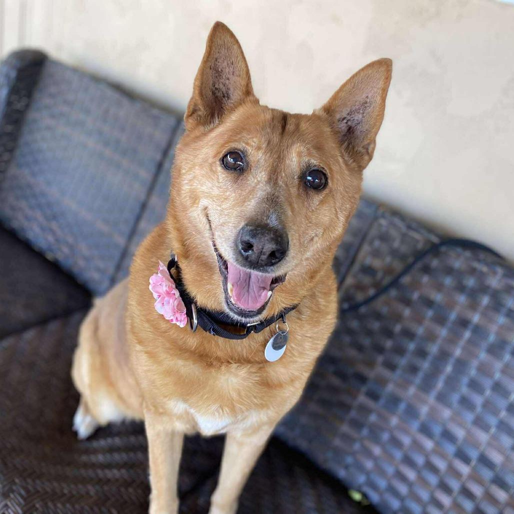 Donna — thumbnail 2