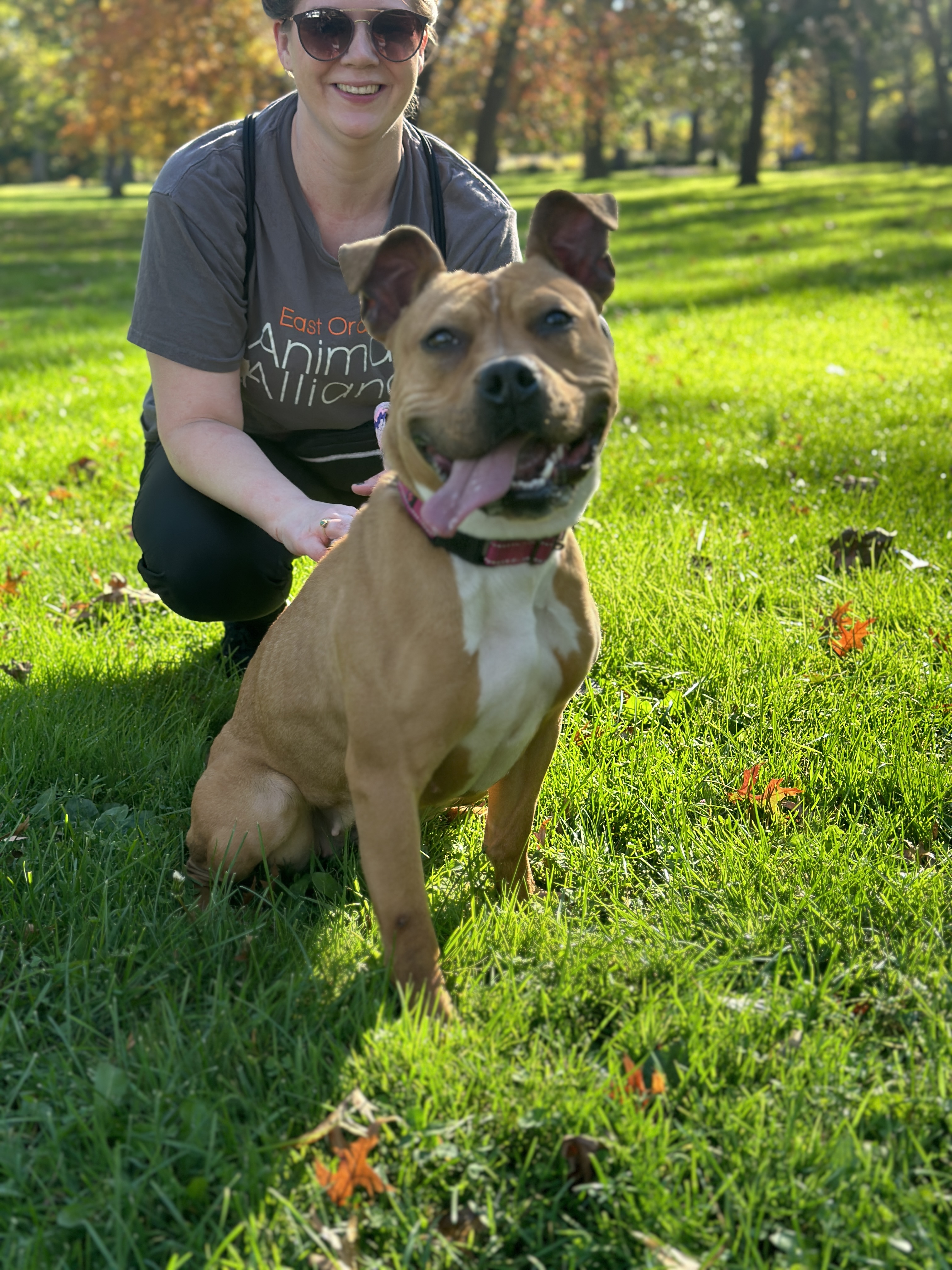 Sweet Georgia, a Adoptable Mixed Breed in East Orange, NJ image 3/4