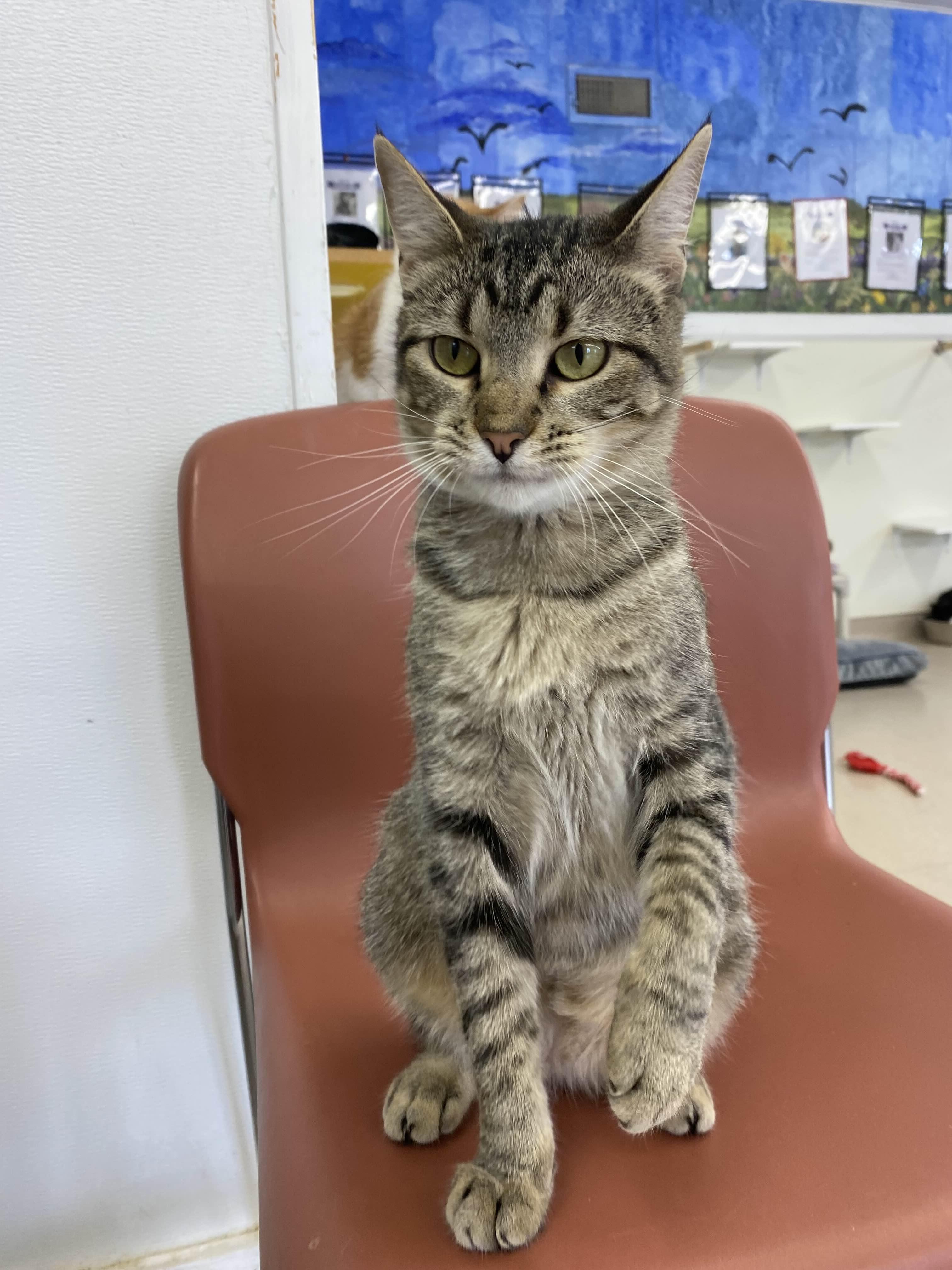 Post-it - The Executive-FEE WAIVED