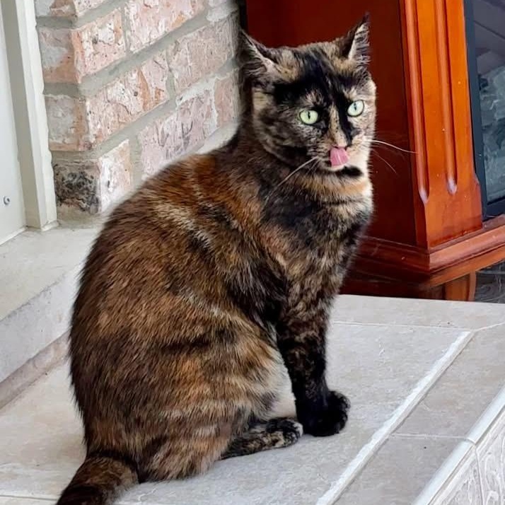 Sammi Girl