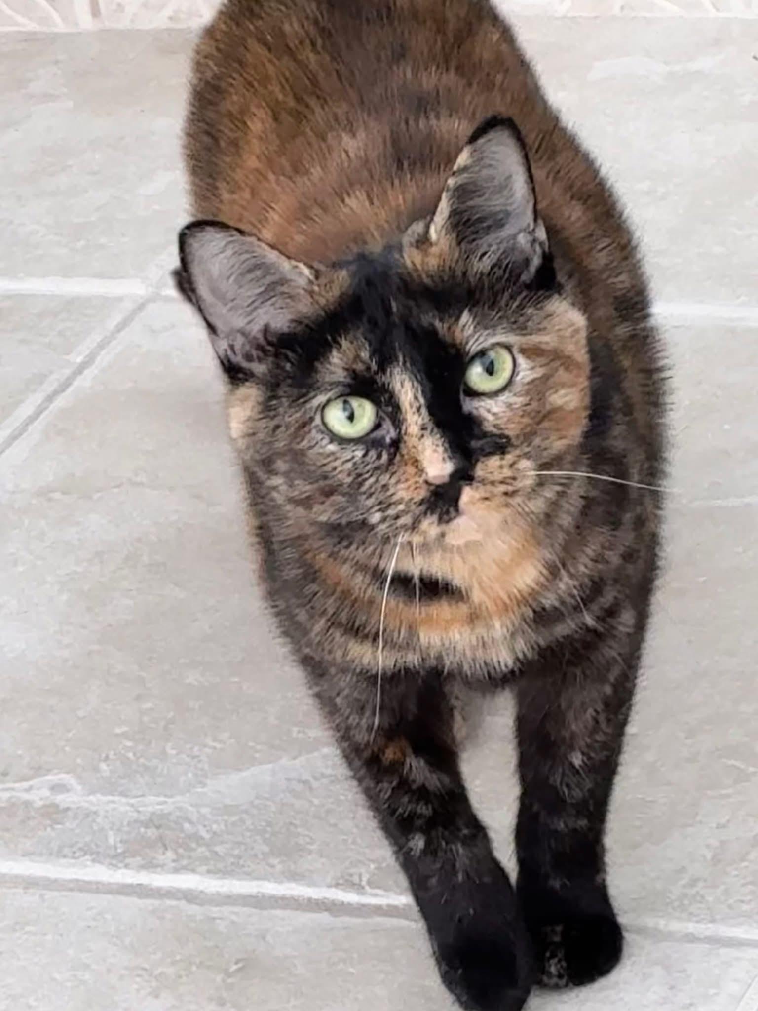 Sammi Girl