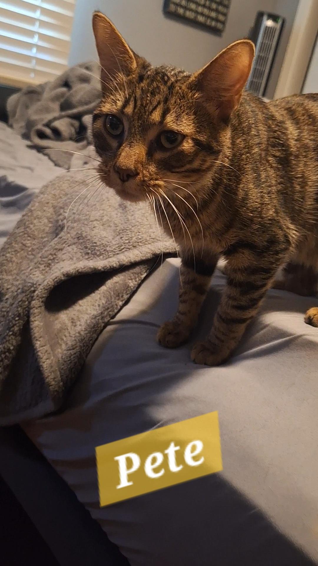 Pete