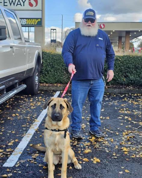 Venus, a Adoptable mixed breed in Crescent city, CA image 2/4