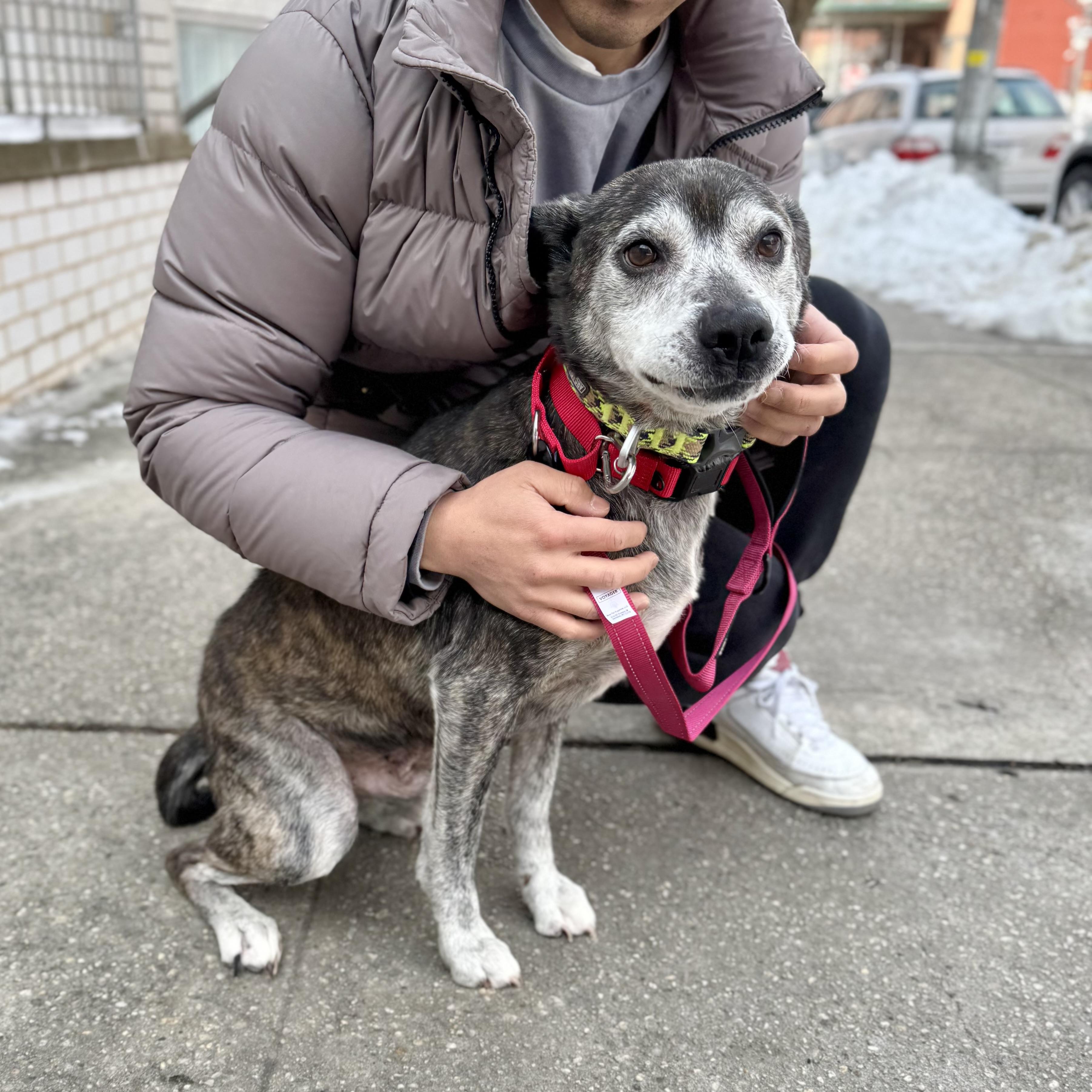 Chronos — thumbnail 2