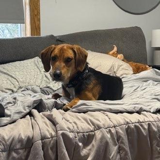 Jackson — thumbnail 2