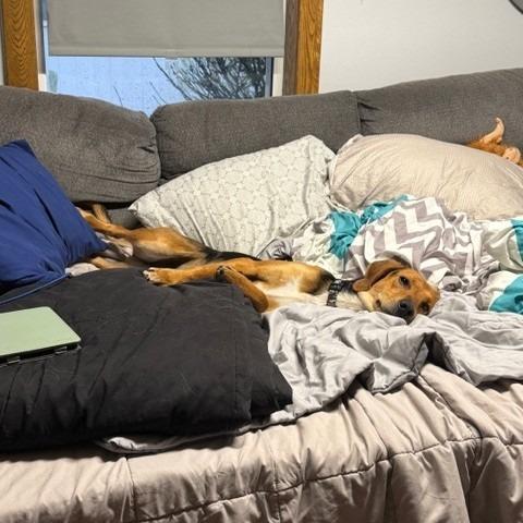 Jackson — thumbnail 5