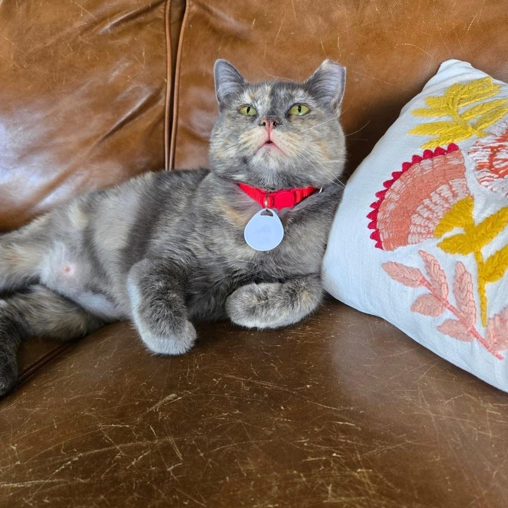 Kool Aid — thumbnail 5