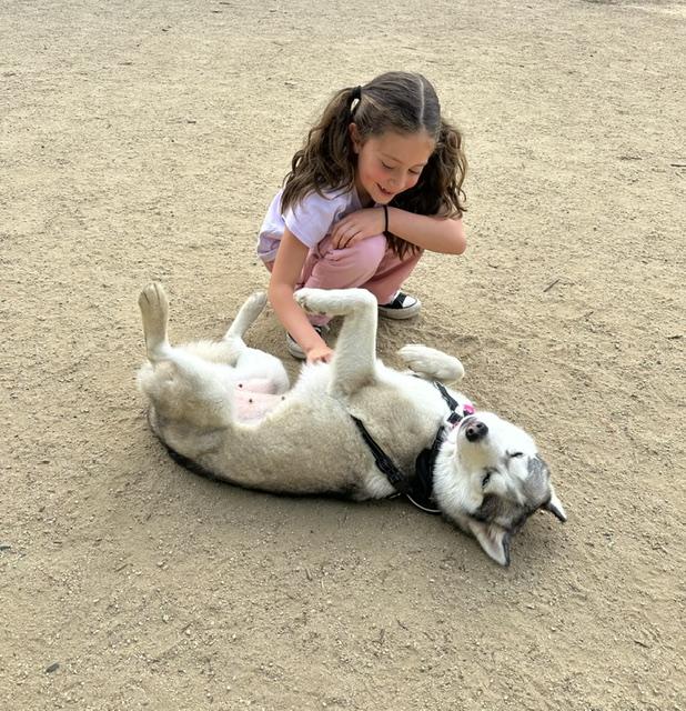 Enlarge Valentine, an adopted mixed breed in Templeton, CA image 5/6