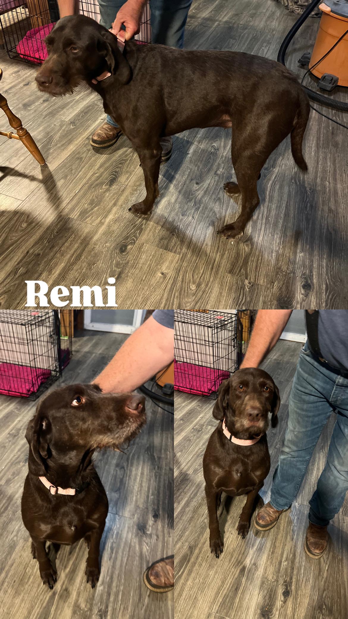 Remi