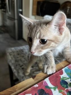 Haku photo 2
