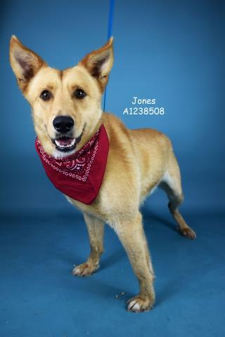 Jones  Urgent! Longtime