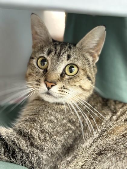 Dawna — thumbnail 2