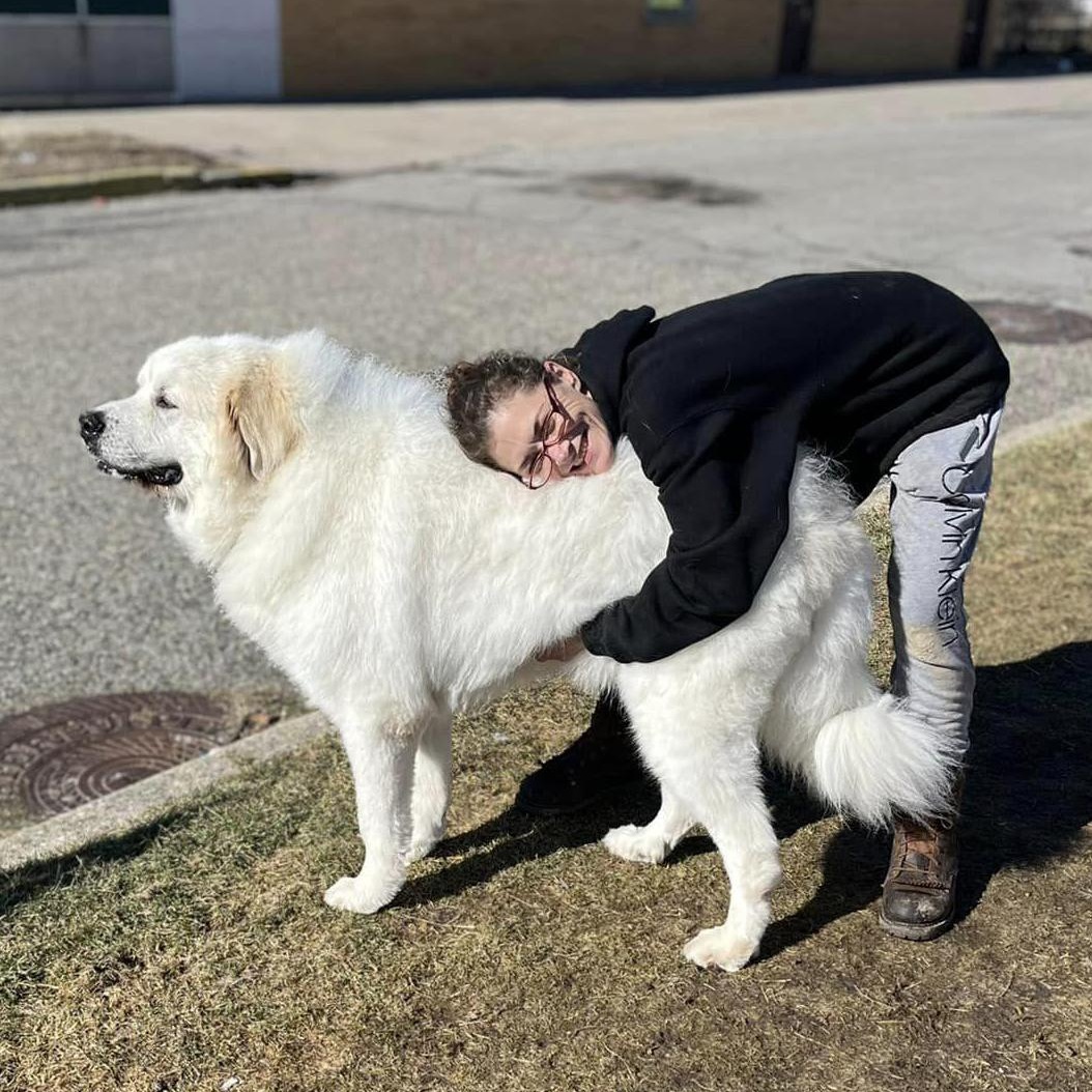 TITUS- Needs a foster/forever home!, a Adoptable mixed breed in Birmingham, MI image 5/6