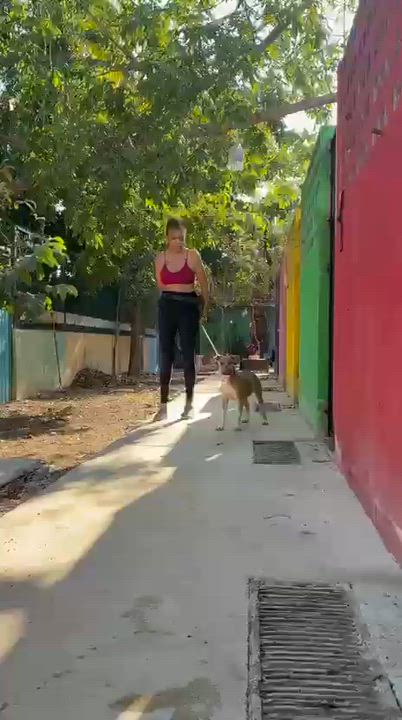 Enlarge Muffin, a ADOPTABLE mixed breed in New York, NY video 2/6