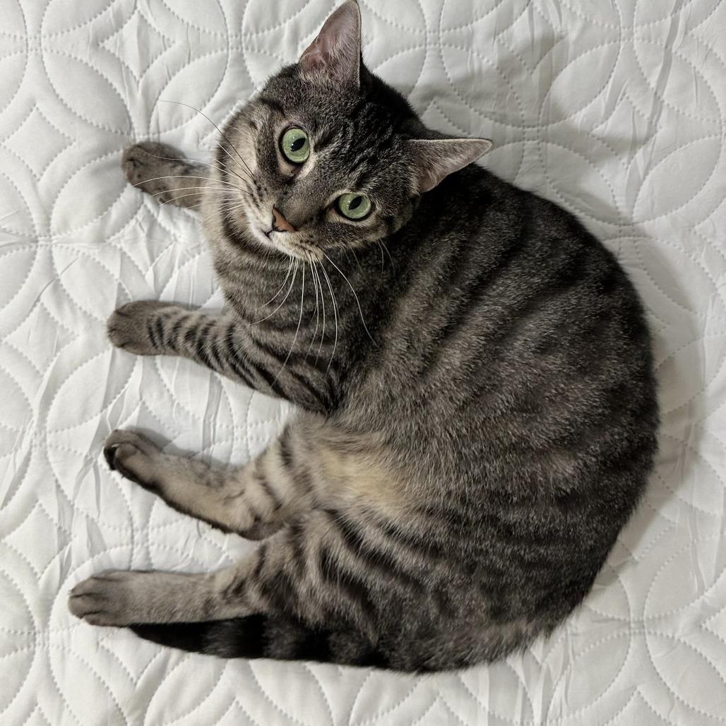 ZEUS — thumbnail 2