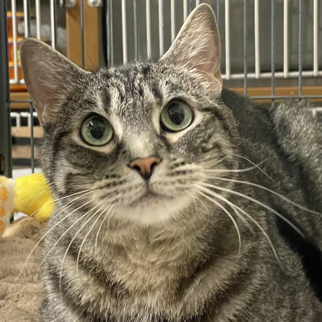 ZEUS — thumbnail 4