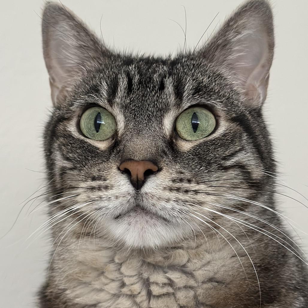 ZEUS — thumbnail 5