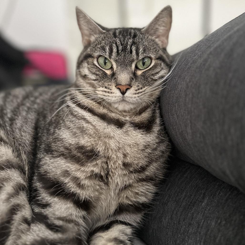 ZEUS — thumbnail 6