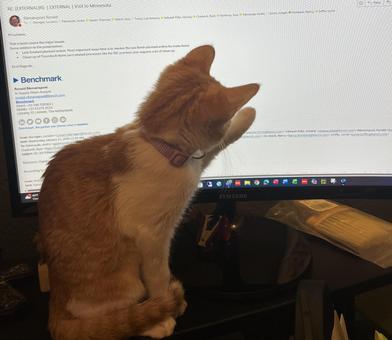 Lily — thumbnail 2