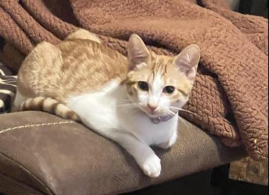 Lily — thumbnail 3